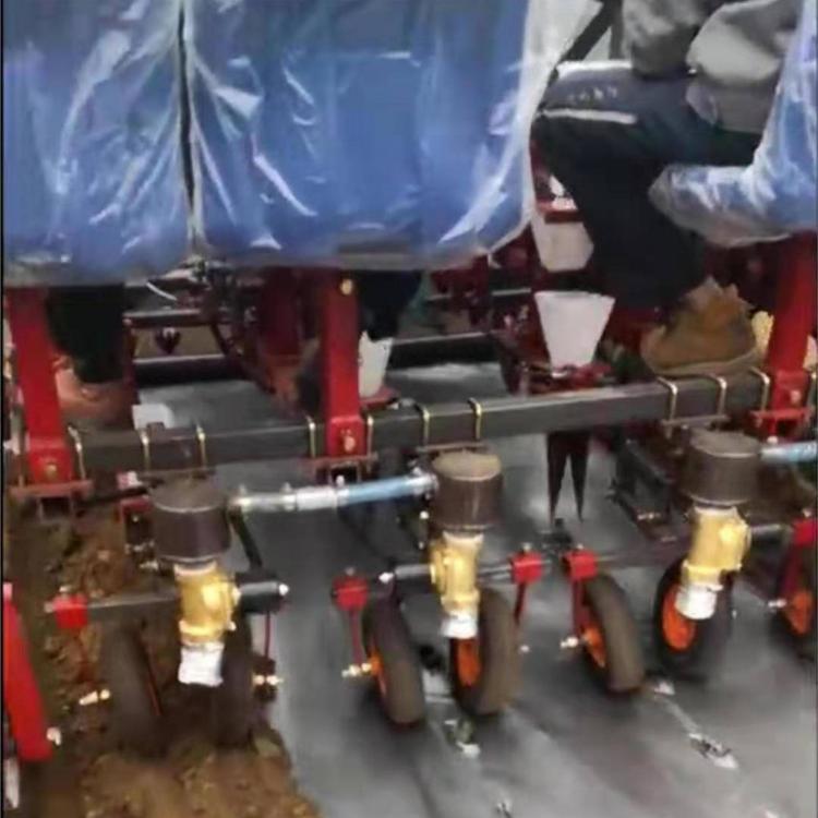 药材移栽机生产厂家 药材移栽机价格