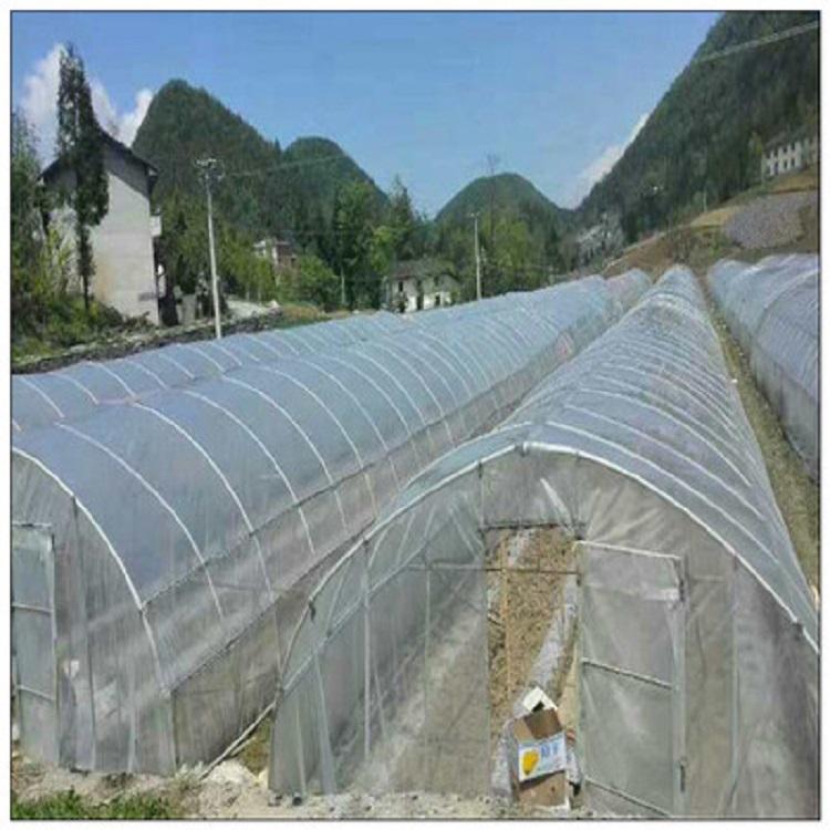 地膜-除草地膜又保温-地膜覆盖技术-除草黑色地膜结实耐用