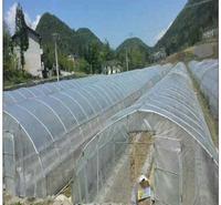 地膜-除草地膜又保温-地膜覆盖技术-除草黑色地膜结实耐用