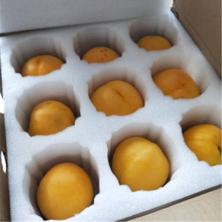 EPE珍珠棉板材包装棉 快递减震打包填充泡沫板 厂家直供支持定制