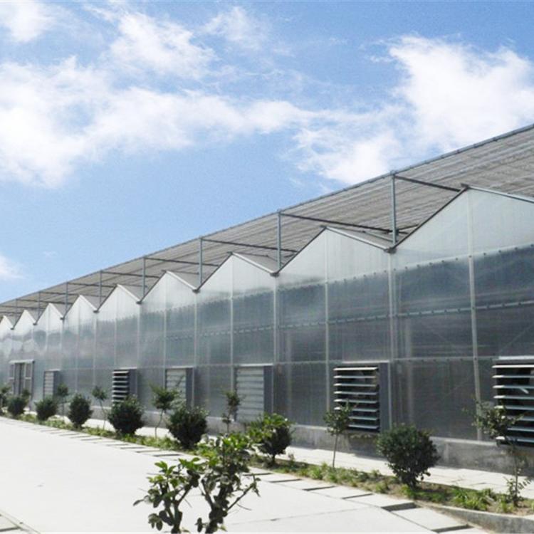 PC板连栋温室 PC板连栋温室建设 PC板连栋温室建造