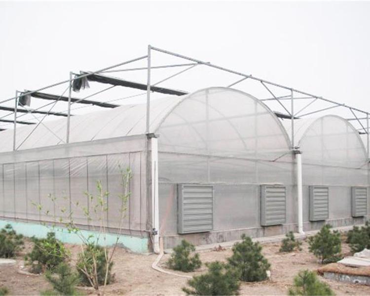薄膜连栋温室  薄膜连栋大棚建设 连栋大棚建造