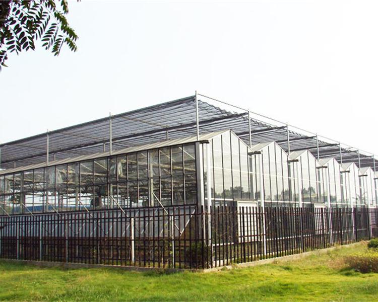 智能温室大棚 智能温室大棚建设 智能温室大棚建造