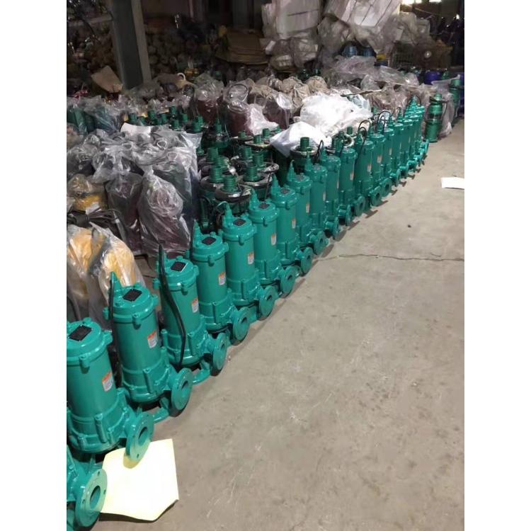 潜水排污泵 供应东方水泵厂自动搅匀潜污泵不锈钢潜污泵污水处理用泵