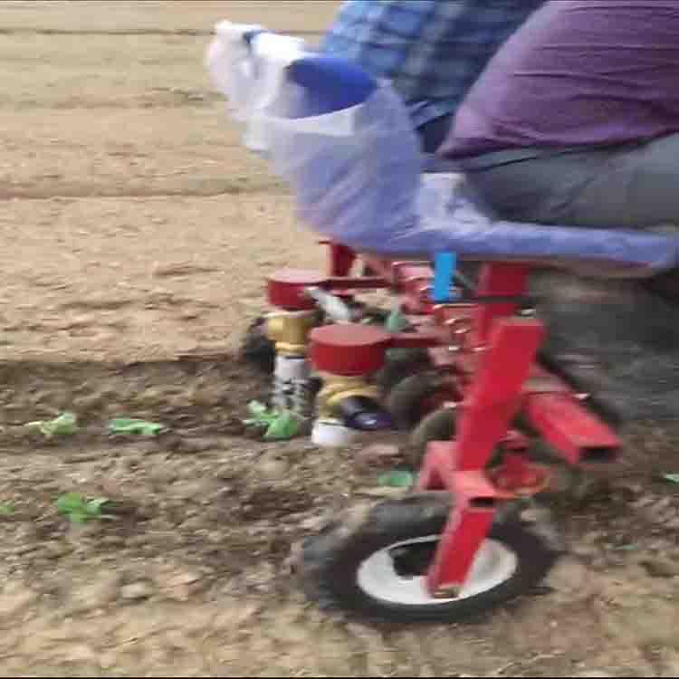 包菜移栽机  包菜移栽机生产厂家  包菜移栽机报价