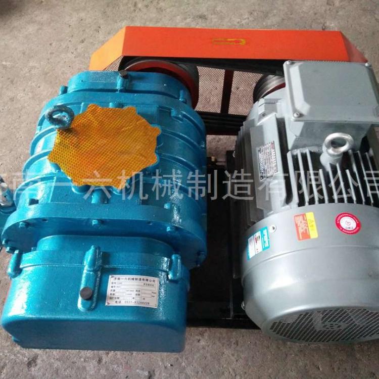 密集型水曝气三叶罗茨风机生活污水处理风机电厂锅炉脱硫鼓风机参数