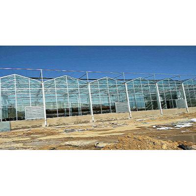 玻璃温室建造—找鑫创