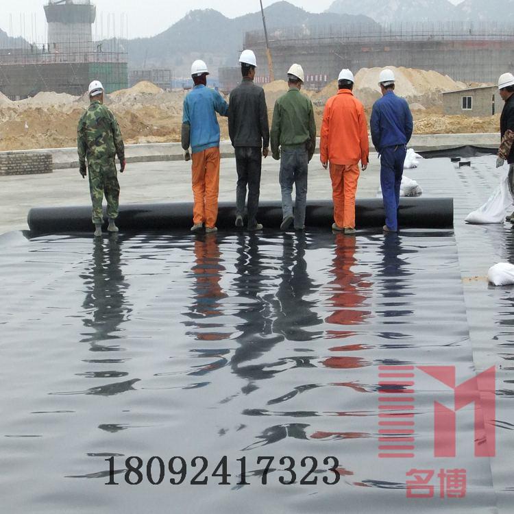 甘肃防渗膜张掖平凉土工膜酒泉复合土工布庆阳定西陇南防渗土工膜