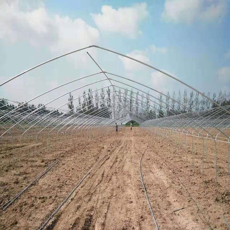 定制金农温室蔬菜大棚可根据客户需求加工定制温室大棚