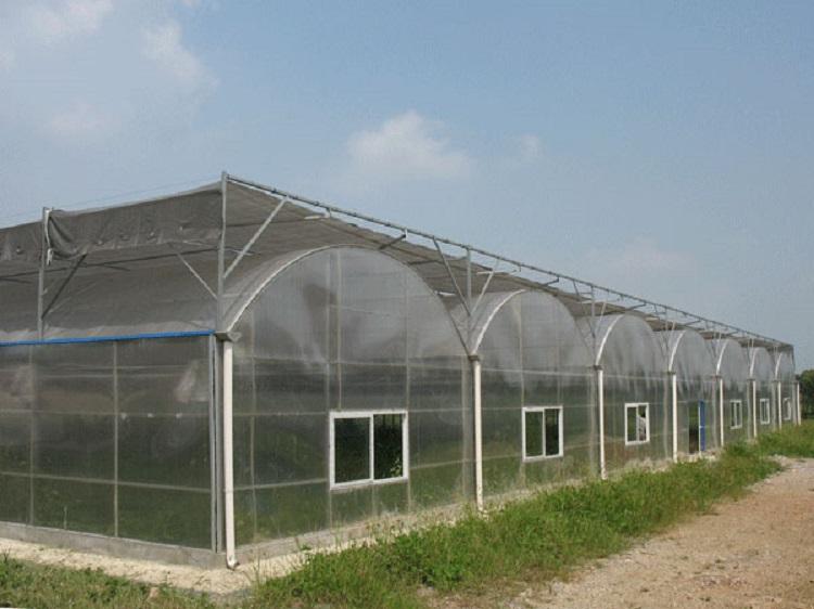 文洛式阳光板温室承建 文洛式阳光板温室设计 鑫创了解一下