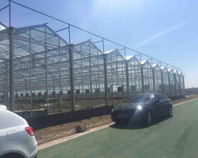 玻璃温室  玻璃温室承建 玻璃温室造价 鸿运达
