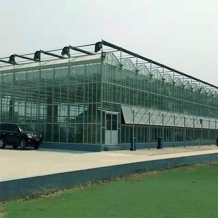 金农温室实地量尺 玻璃智能温室建设 重信誉的玻璃温室建造