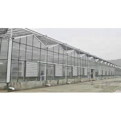 玻璃温室承建—玻璃温室报价