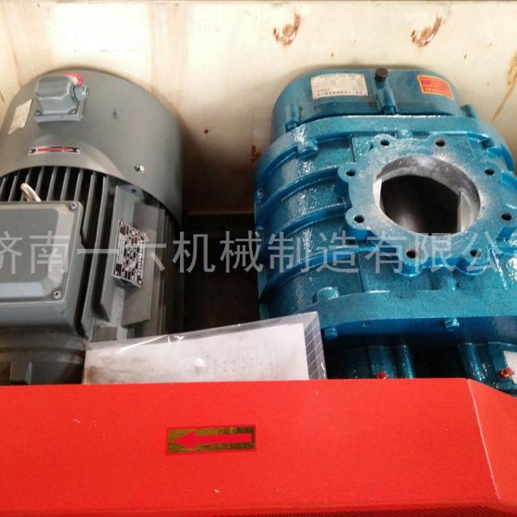 低噪音污水处理用罗茨鼓风机生活污水处理风机高压密集三叶风机产品