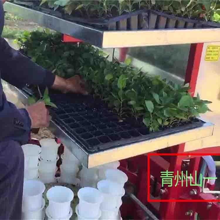 地轮式两行移栽机_山一机械_地轮式两行种植机_供应定制
