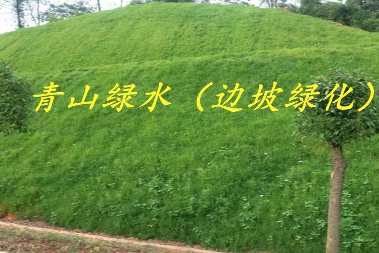 青山绿水边坡绿化ZKP-80170客土喷播机 青山绿水 高次团粒喷播机 130KW 喷播施工 矿山植被恢复
