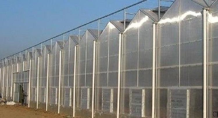 鑫创温室 pc板温室建设 pc板温室建造商 温室大棚建造商