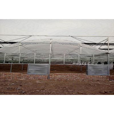 连栋大棚建造商—— 鑫创连栋大棚