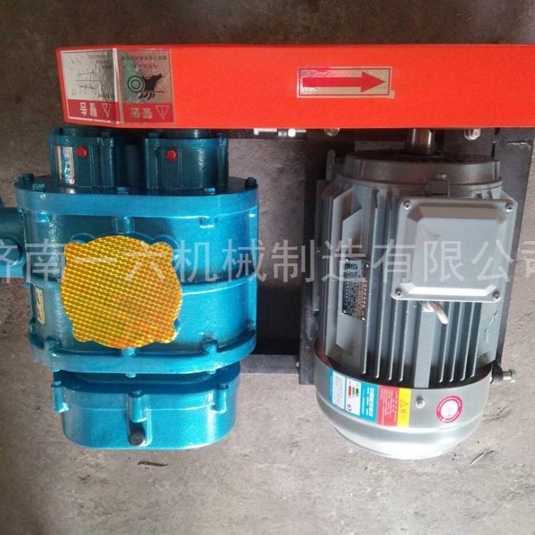 特殊罗茨风机特点