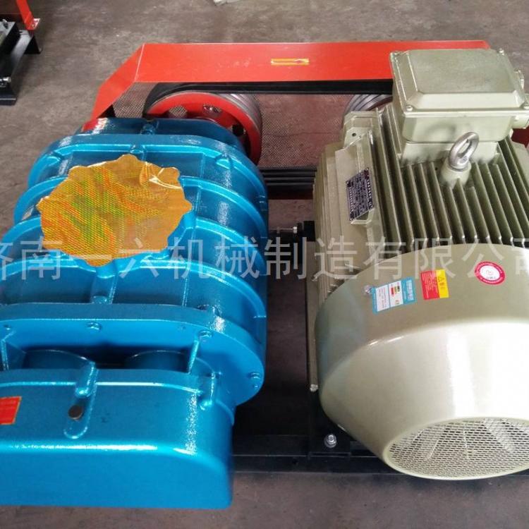 特殊罗茨鼓风机参数