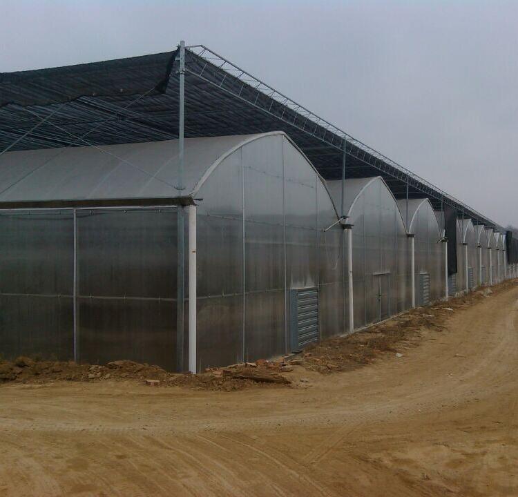 金农温室建造 玻璃温室造价 山东玻璃温室建设