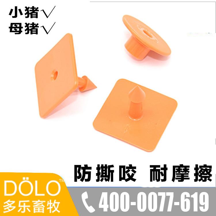 方形耳标仔猪耳标牌母猪方形耳标防撕咬耐摩擦厂家