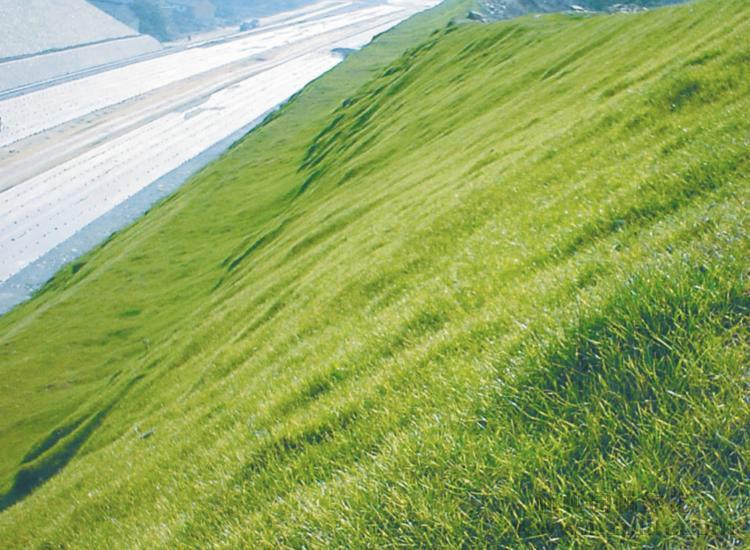 青山绿水边坡绿化ZKP-80170客土喷播机 青山绿水 矿山治理喷播机 涡轮增压中冷柴油机 喷播施工 矿山植被恢复
