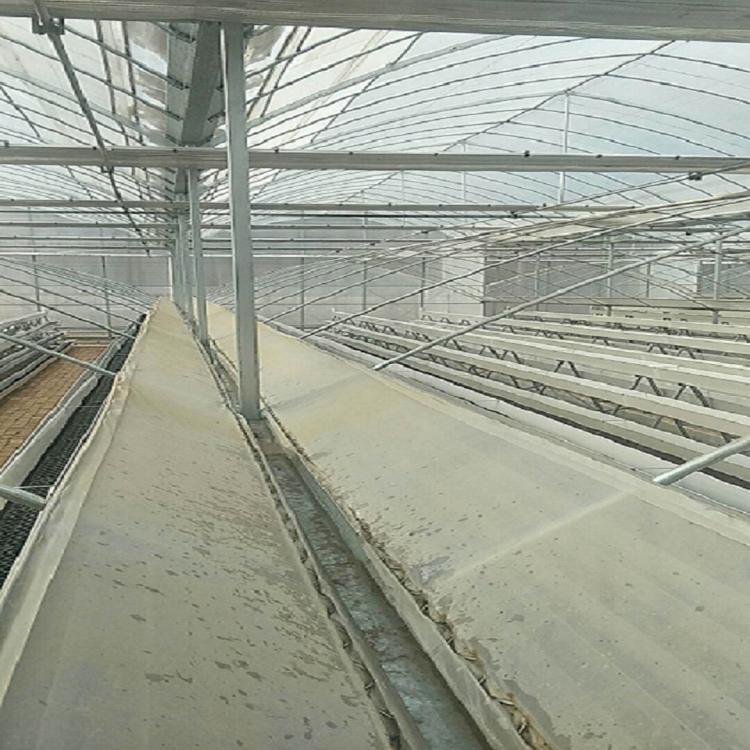 山东连栋薄膜温室  建造 连栋大棚薄膜建造
