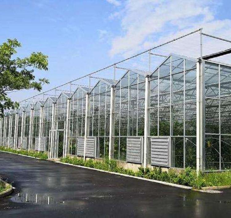 pc板温室大棚 阳光板温室大棚建造 青州温室大棚建设公司