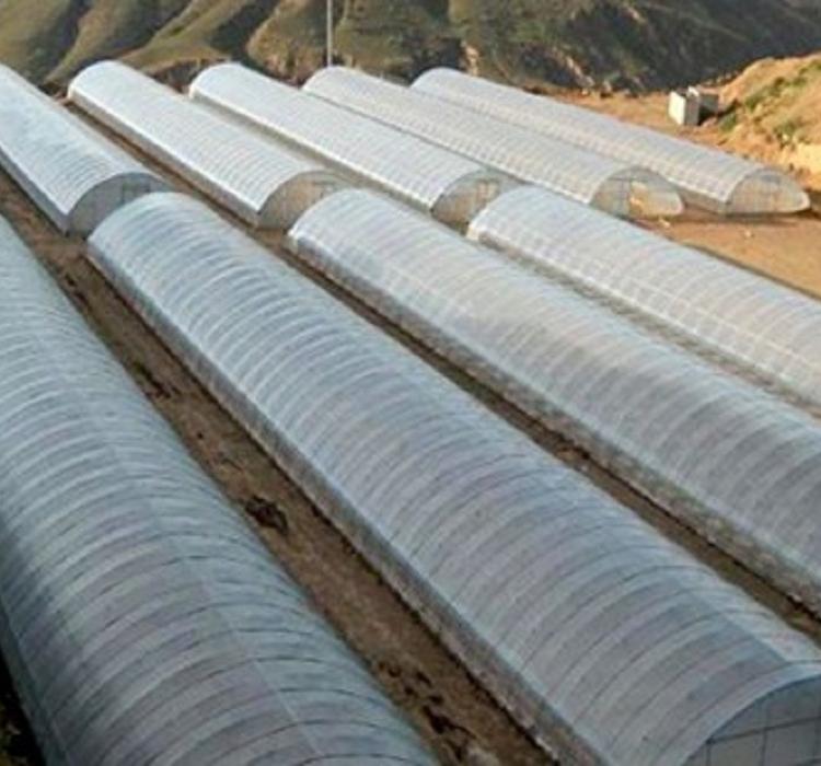 蔬菜大棚建造商——蔬菜大棚承建