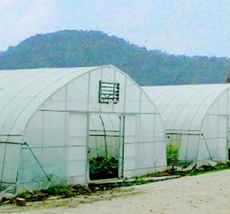 种植大棚造价 种植大棚  种植大棚建造商