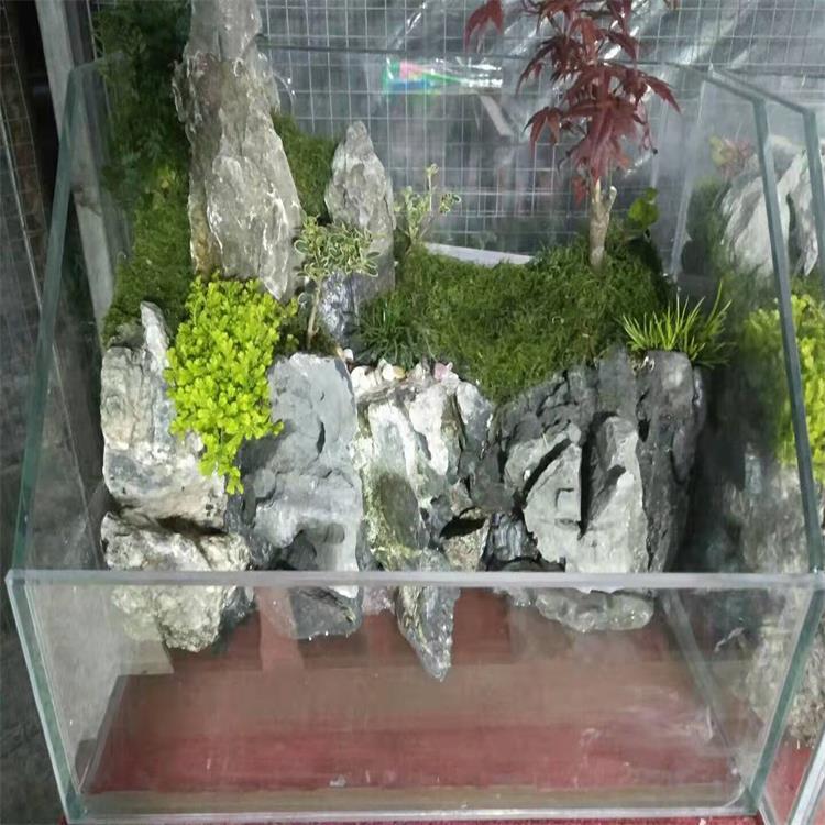 四川成都水陆缸厂家销售 成都石磨可用于室内外 价格优惠欢迎订购