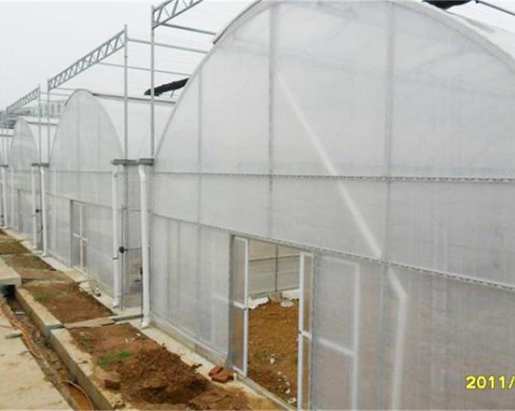 青州薄膜连栋温室建造公司 薄膜连栋温室大棚建造公司