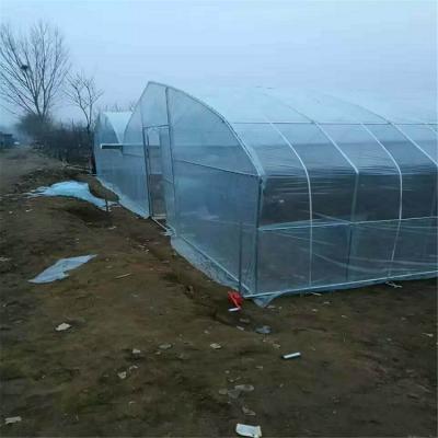 春秋拱棚建造  价格合理的春秋拱棚建造商