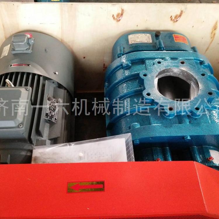 双油箱气力输送罗茨鼓风机沼气输送罗茨风机用机械密封鼓风机产品