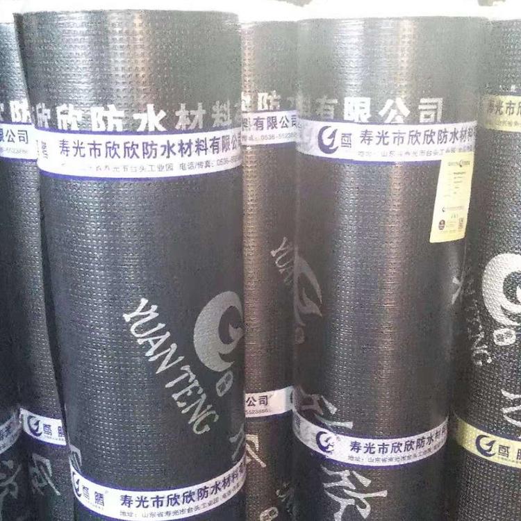 普通3mm弹性体改性沥青防水sbs防水卷材-欣欣防水