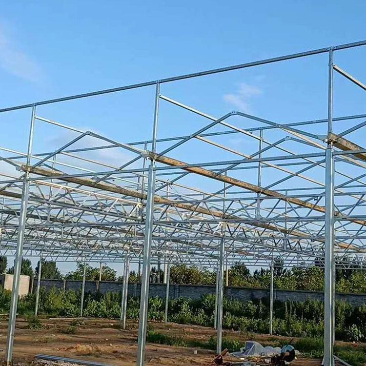 温室大棚大棚温室青州市金阳温室工程有限公司