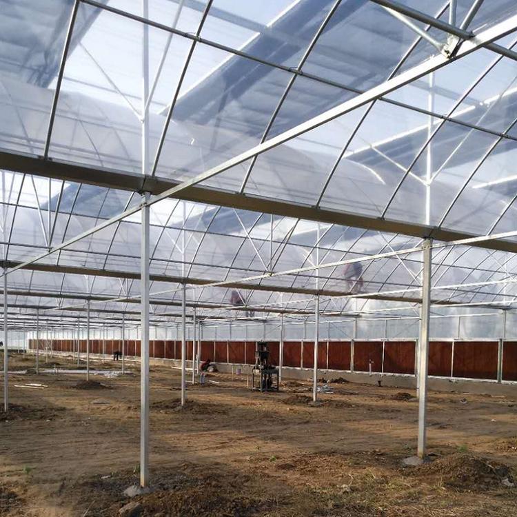 智能温室大棚_玻璃蔬菜大棚_连栋温室-青州市金阳温室工程有限公司