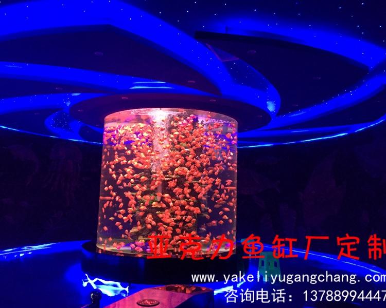 义琛承接各种形状亚克力鱼缸 异形鱼缸 亚克力游泳池 大型亚克力鱼缸生产厂家
