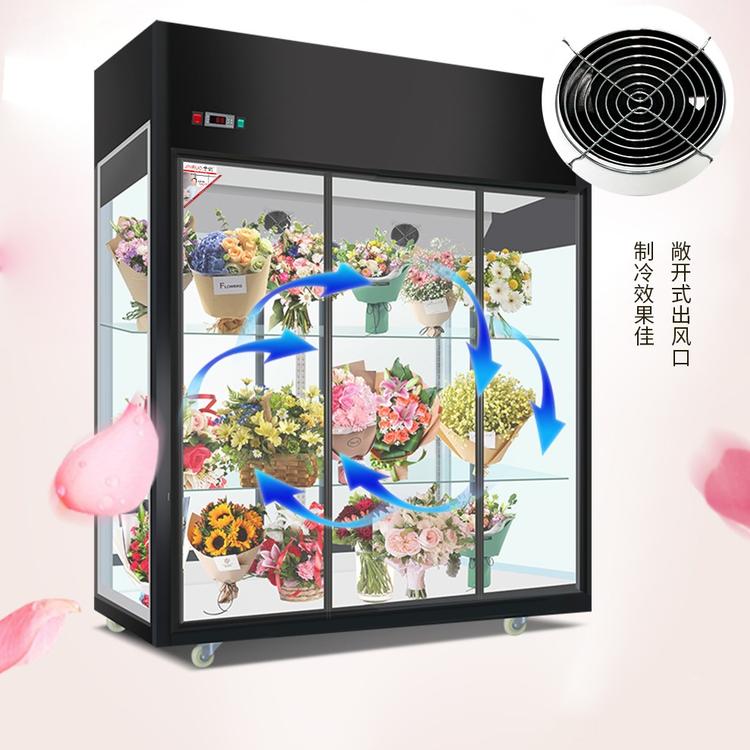 风冷展示柜 鲜花保鲜柜 冷藏柜 展示柜 植物保鲜柜定制厂家