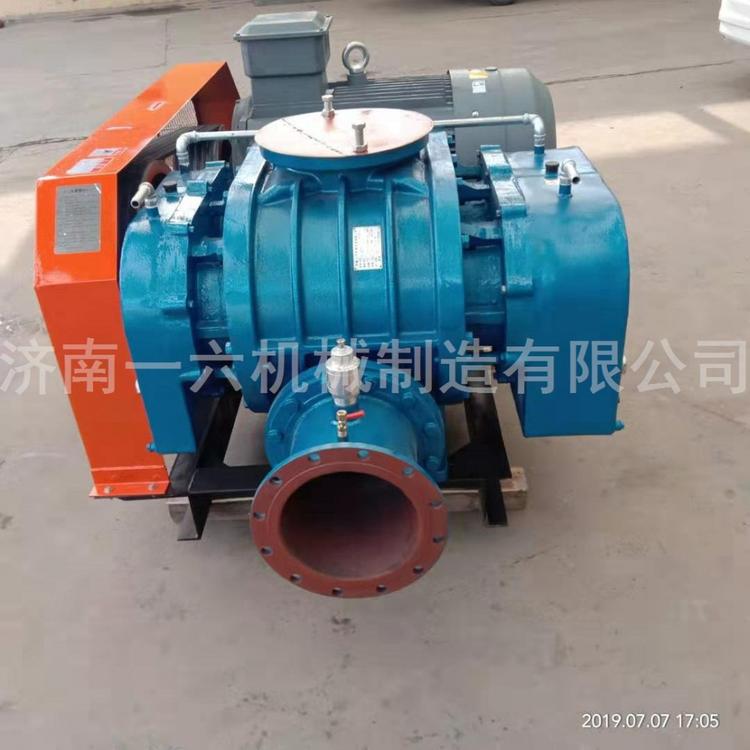 双油箱生活污水处理风机医院用回转式鼓风机水产三叶增氧机产品