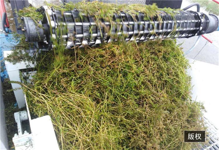 江苏省水草打捞船供应 水草粉碎 环保设备