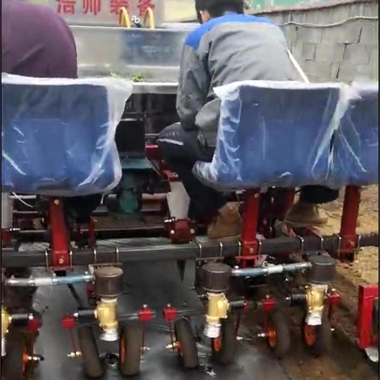 上海青小油菜移栽机青州山一农业装备有限公司
