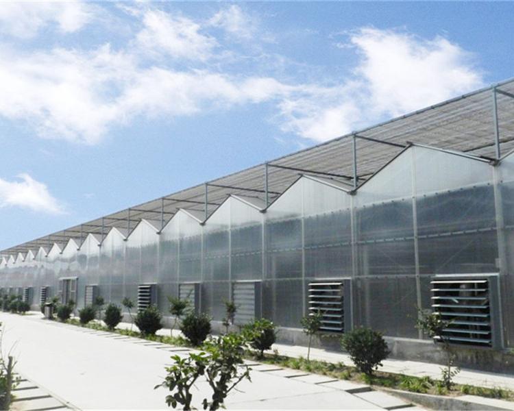 PC板连栋温室建设公司 成铭 PC板温室大棚承建
