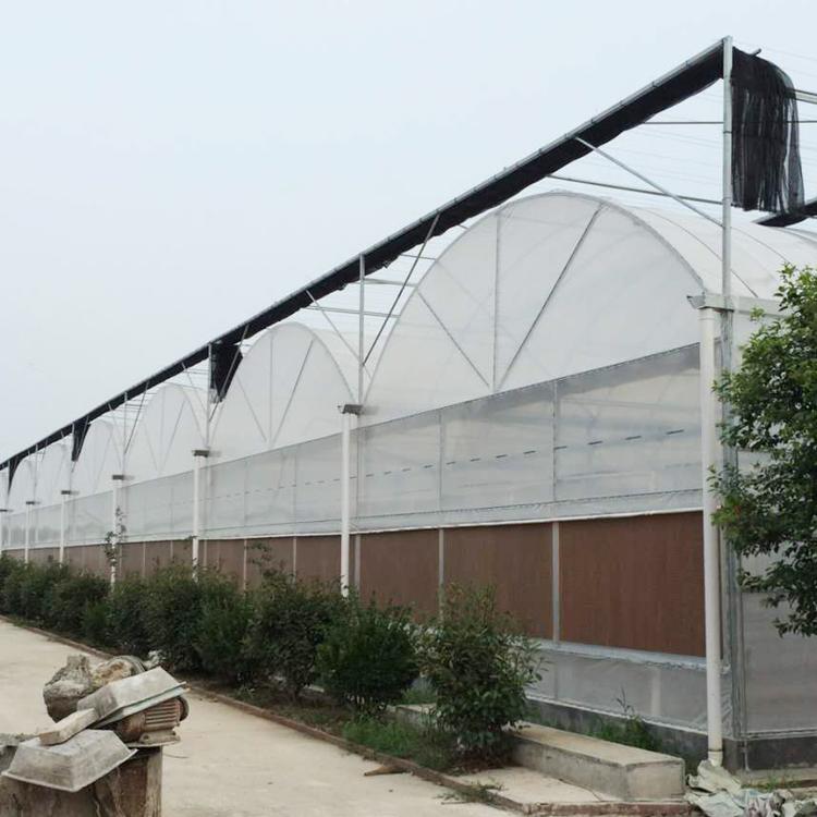 温室大棚_蔬菜大棚造价-青州市金阳温室工程有限公司