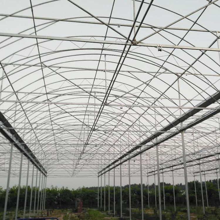蔬菜大棚_新型温室大棚_玻璃智能温室_温室工程_大棚造价_青州市金阳温室