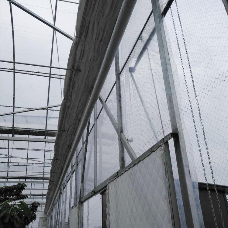 连栋大棚温室大棚大棚骨架连栋大棚青州市金阳温室工程有限公司