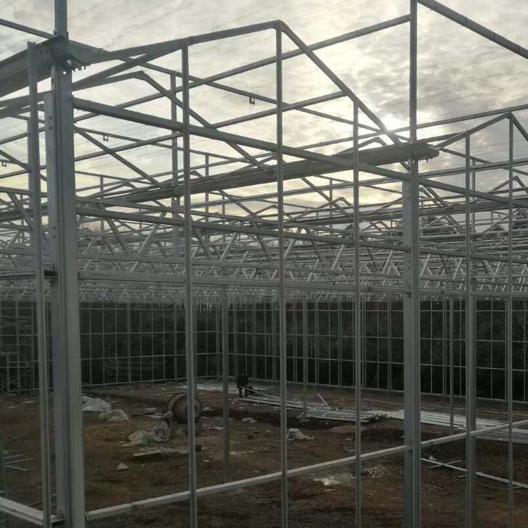 蔬菜大棚连栋大棚养殖温室大棚造价连栋温室大棚厂青州市金阳温室