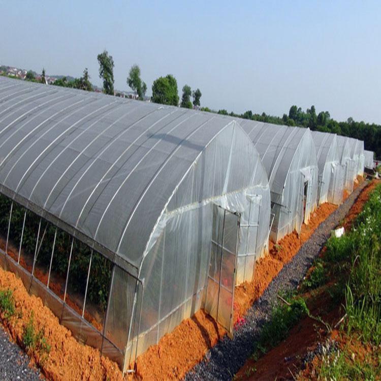建造拱形温室 青州温室大棚建设 日光温室承接 金农温室