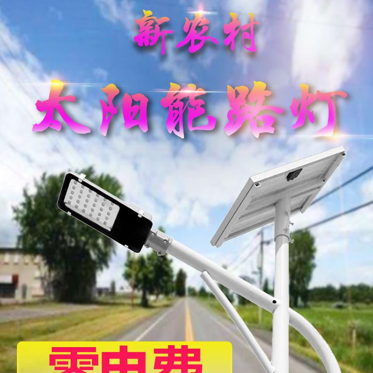 专业供应智慧路灯 智慧城市路灯灯杆6米 厂家定做园林景观灯